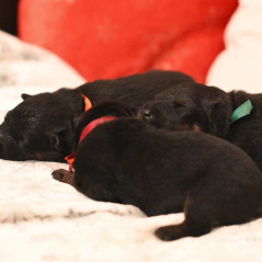 322007578_563145189043943_4549154456482885752_n