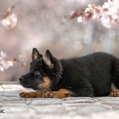 030-Fotoshooting-22-03-2023