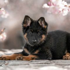 031-Fotoshooting-22-03-2023