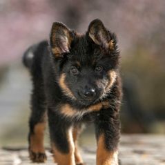 032-Fotoshooting-22-03-2023