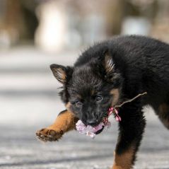 033-Fotoshooting-22-03-2023