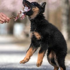 035-Fotoshooting-22-03-2023