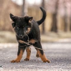 039-Fotoshooting-22-03-2023