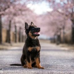 040-Fotoshooting-22-03-2023