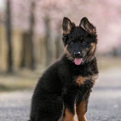 042-Fotoshooting-22-03-2023