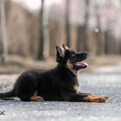 043-Fotoshooting-22-03-2023