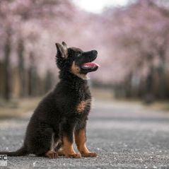 044-Fotoshooting-22-03-2023