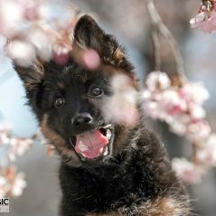 045-Fotoshooting-22-03-2023