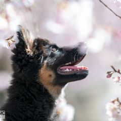 049-Fotoshooting-22-03-2023