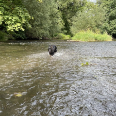 IMG_7109