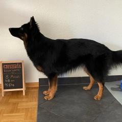 wiegetag_20230905