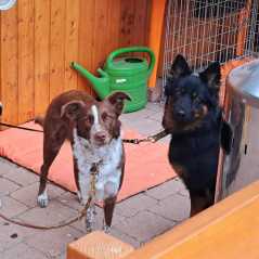 52b2f94b-af70-44e7-a124-632ff1ebe503