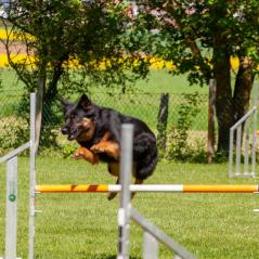IMG_7197