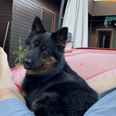 Juni