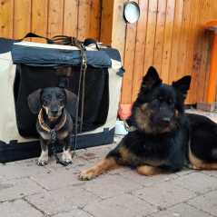 4d59d0ca-fab5-4976-bc54-5fa4057d6e2d