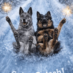 7b1276cd-2012-4e6d-b8be-f3fce289e86a