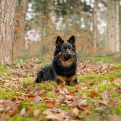 DSC_4328-Bearbeitet-scaled