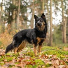 DSC_4446-Bearbeitet-scaled