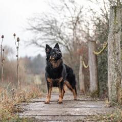 DSC_4462-Bearbeitet-scaled