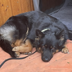 IMG_8300