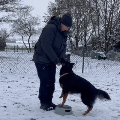 Training im Schnee