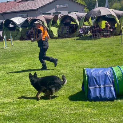 Mötti Agility-Turnier Mühlacker